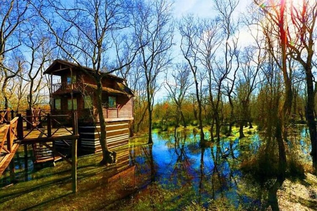 Samsun'un şelaleleri ve doğa harikası güzellikleri