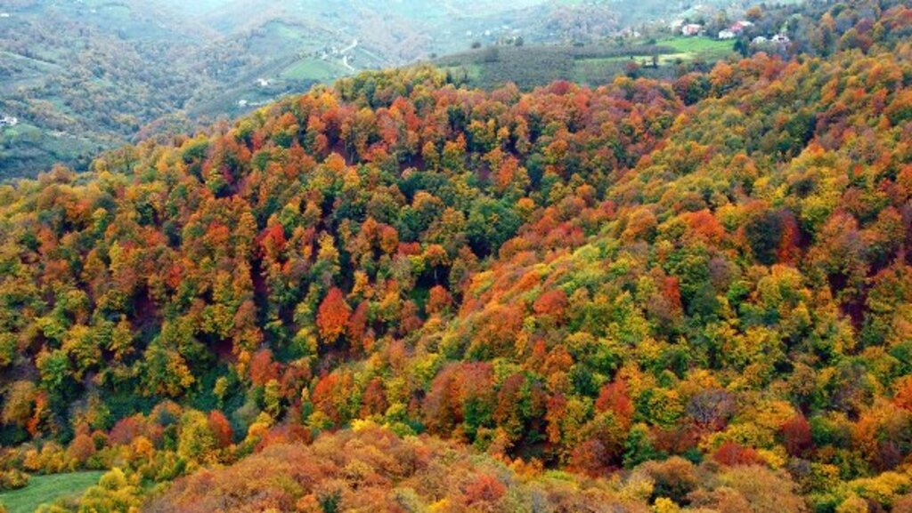 Samsun'un doğa harikası Nebiyan Dağı'ndan muhteşem fotoğraflar