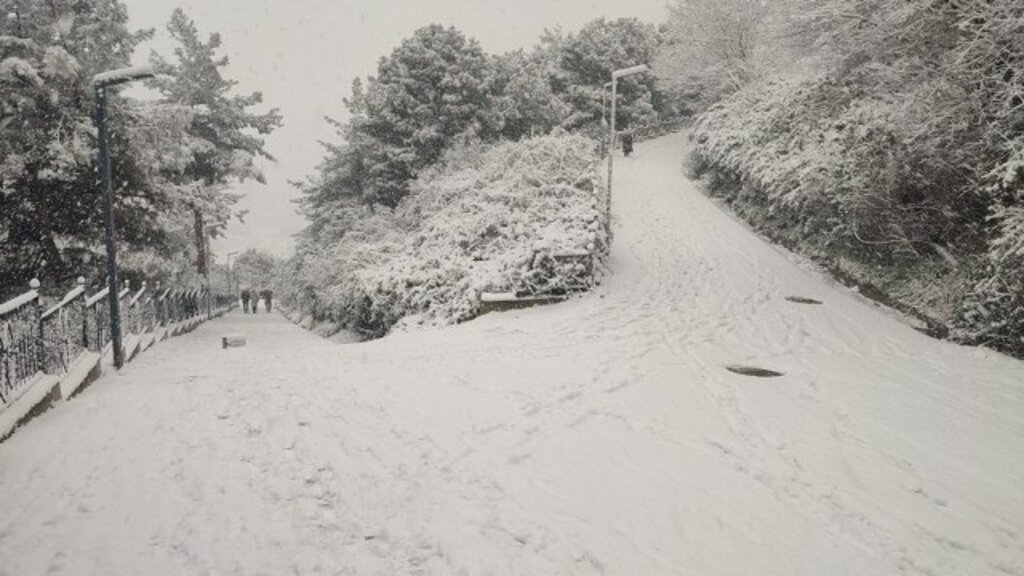 Samsun'a kar yağdı! Samsun'dan kar fotoğrafları