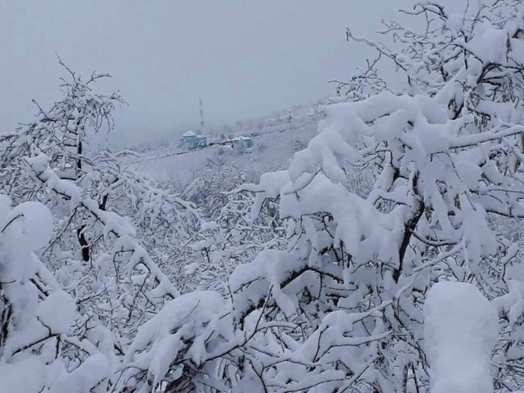 Samsun ve ilçelerden kar manzaraları
