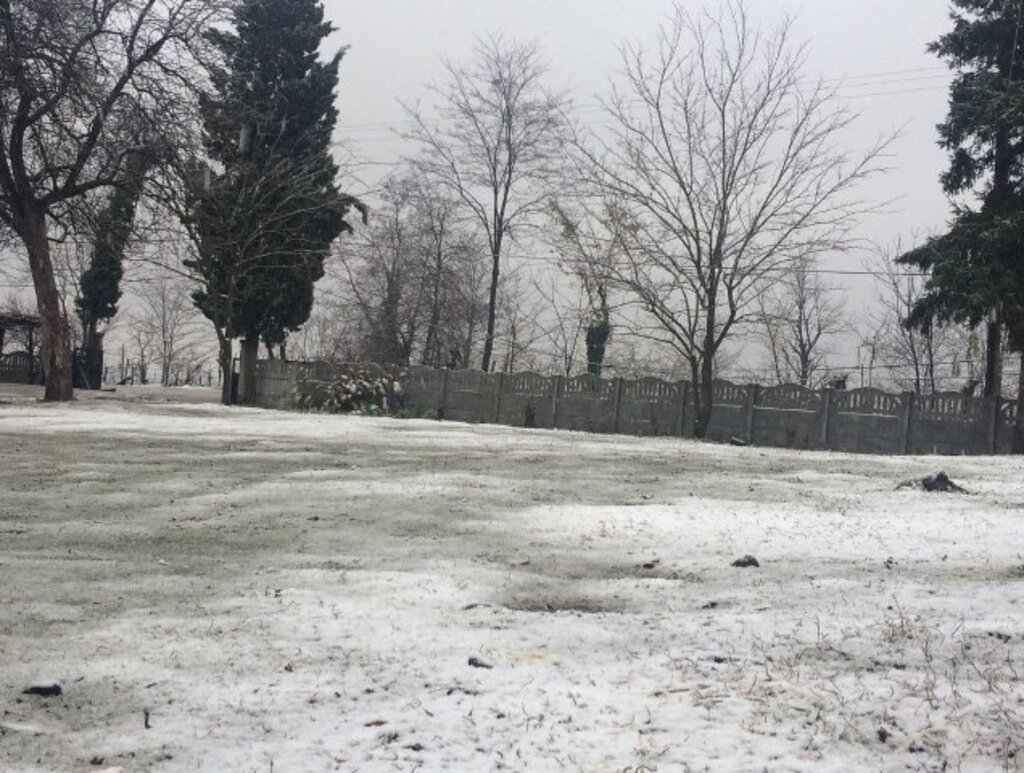 Samsun'da karın üzerine Zeytin Dalı yazıldı! Samsun'dan kar fotoğrafları