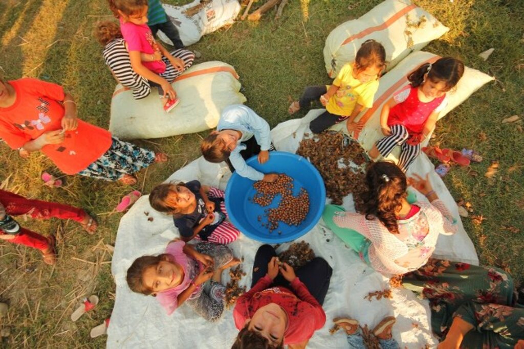 Samsun'da mevsimlik işçilerin renkli dünyasından fotoğraf kareleri