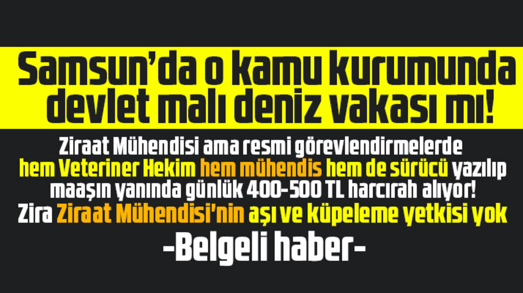 Samsun'da o kamu kurumunda devlet malı deniz vakası iddiası