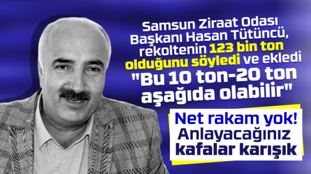 Samsun Ziraat Odası 2020 fındık rekoltesinin 123 bin ton olduğunu açıkladı