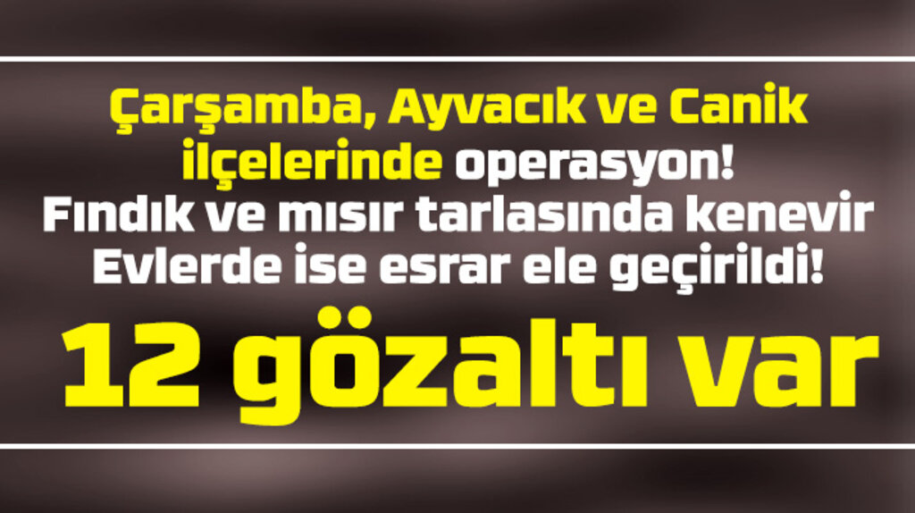 Samsun'da Çarşamba, Ayvacık ve Canik'te kenevir ve esrar operasyonu!