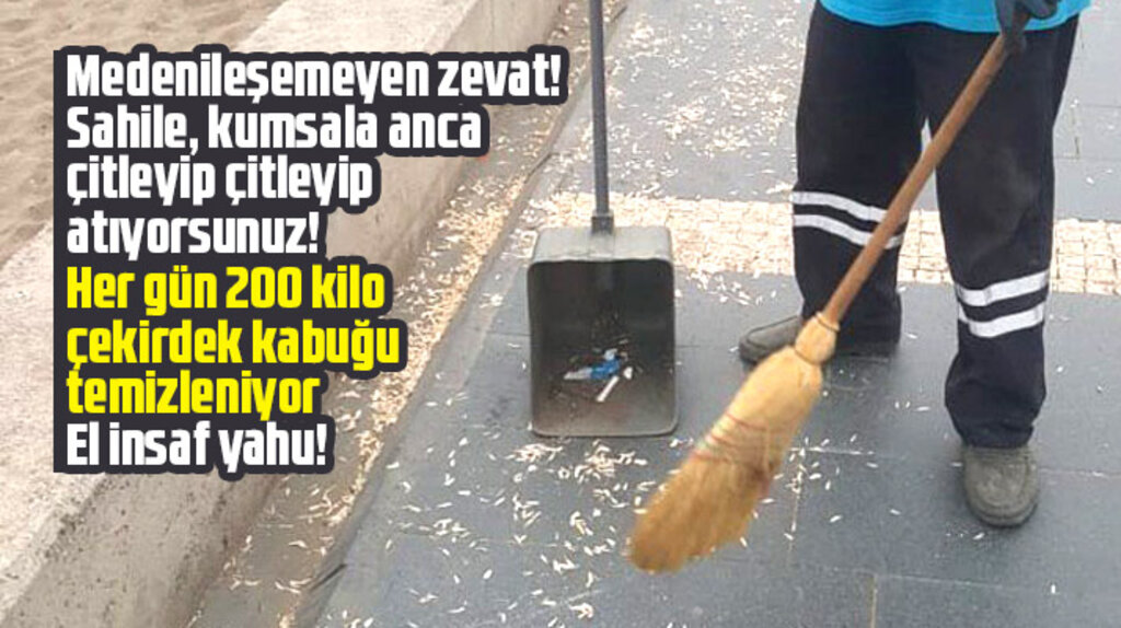 Samsun'da her gün sahil ve kumsala atılan 200 kilo çekirdek kabuğu temizleniyor