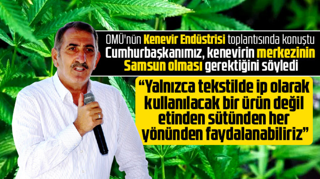 Fuat Köktaş Samsun'un kenevir üssü olması için yapılan çalışmaları açıkladı