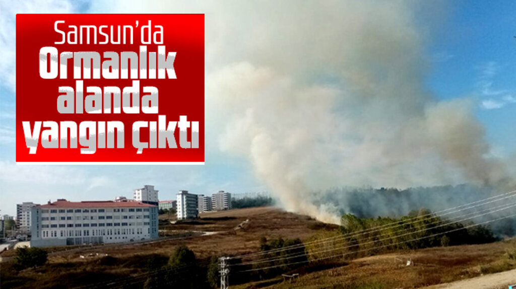 Samsun'da Kışla mahallesinde yer alan ormanlık alanda yangın 