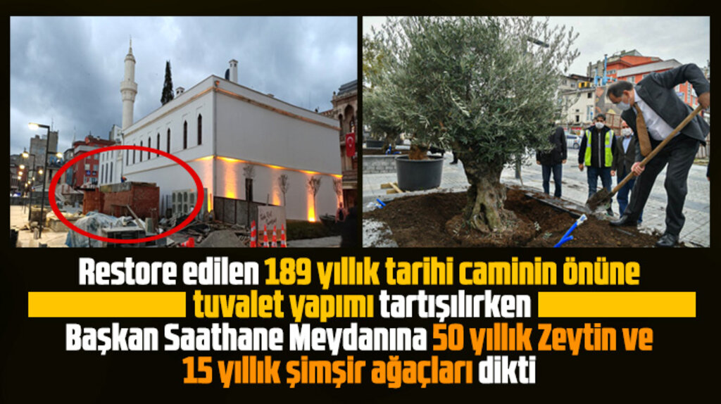 Mustafa Demir Saathane Meydanına 50 yıllık zeytin ve 15 yıllık şimşir ağaçları dikti
