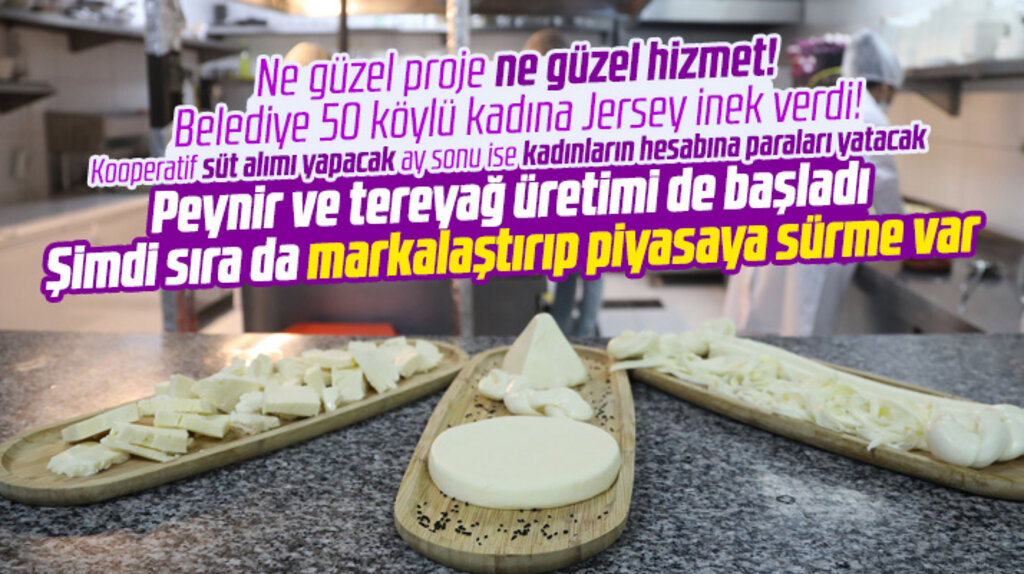 Atakum Belediyesinin kurduğu atölyelerde üretilen peynirler markalaştırılacak