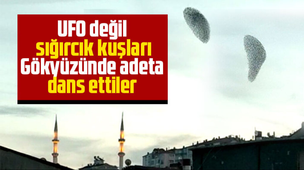 Samsun'da sığırcık kuşları gökyüzünde adeta dans etti