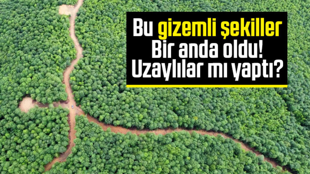 Samsun'da ormanlık alanda oluşan şekiller! Şahin Dağlarında neler oluyor