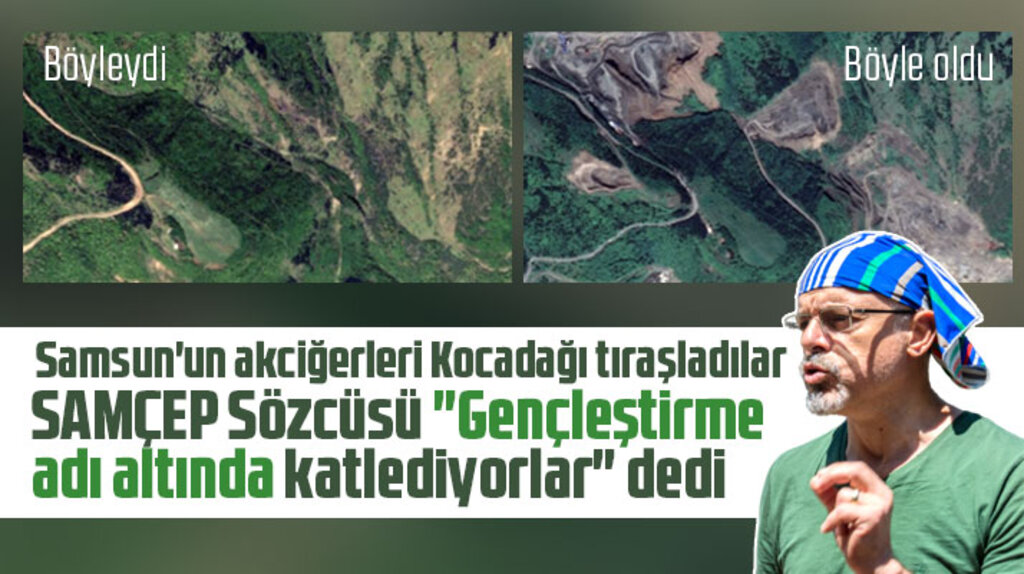 Samsun'un akciğerleri Kocadağ'da ağaç katliamı