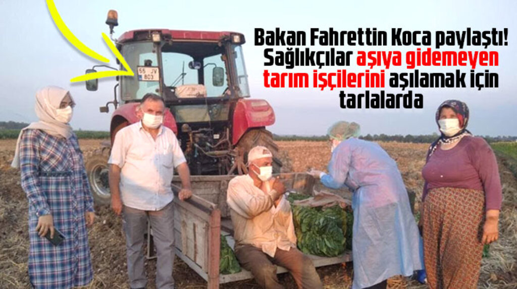 Samsun'da aşı olmaya gidemeyen tarım işçilerini sağlıkçılar tarlada aşıladı