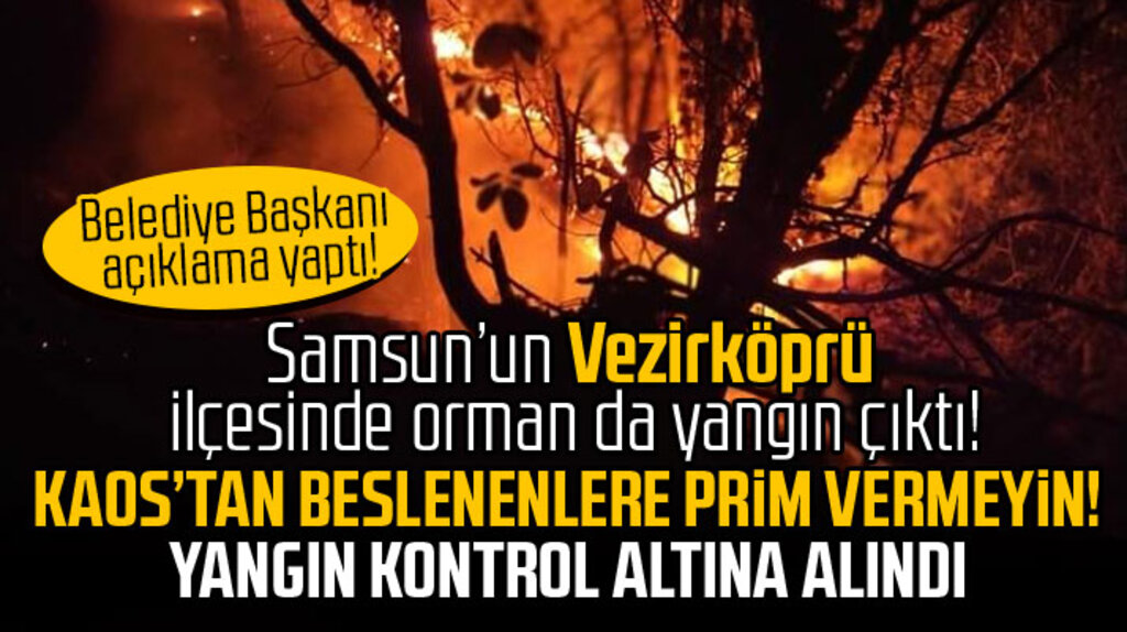 Samsun'un Vezirköprü ilçesinde çıkan orman yangınında son durum! 