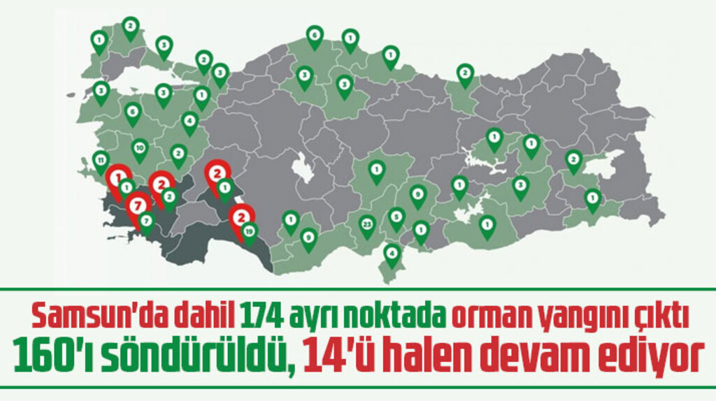 Samsun'da dahil 174 yerleşim yerinde orman yangını çıktı! 160'ı söndürüldü