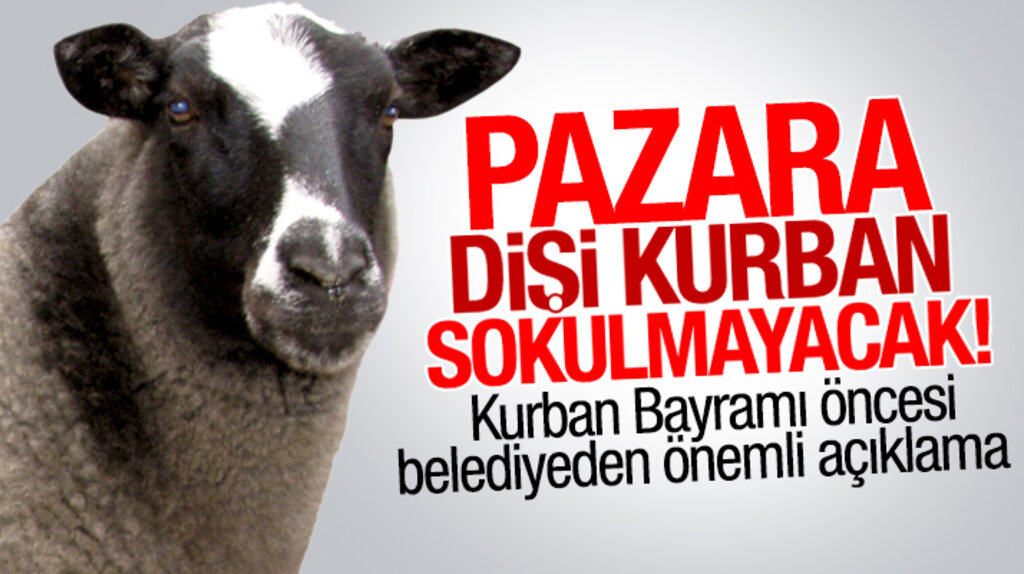 Atakum Belediyesi Zabıta Müdürlüğü uyardı: Dişi kurban pazara sokulmayacak