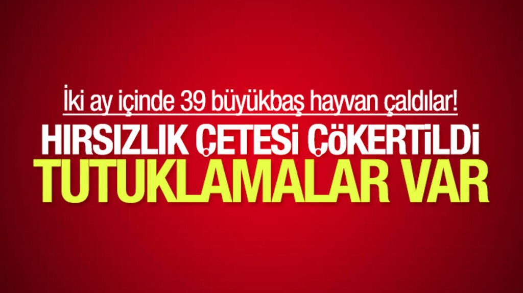 Samsun Atakum'da 39 büyükbaş hayvan çalan 4 hırsızdan 2'si tutuklandı