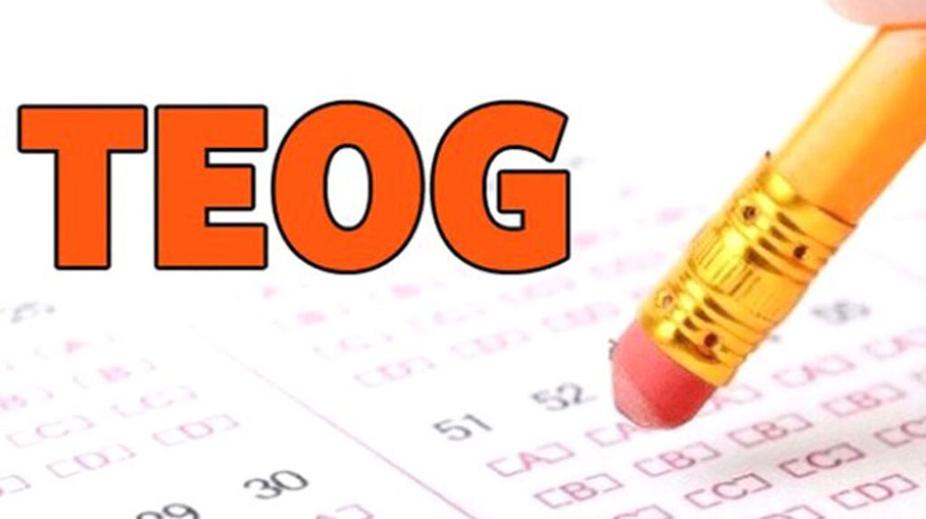 TEOG ikinci yerleştirme lise nakil sonuçları açıklandı