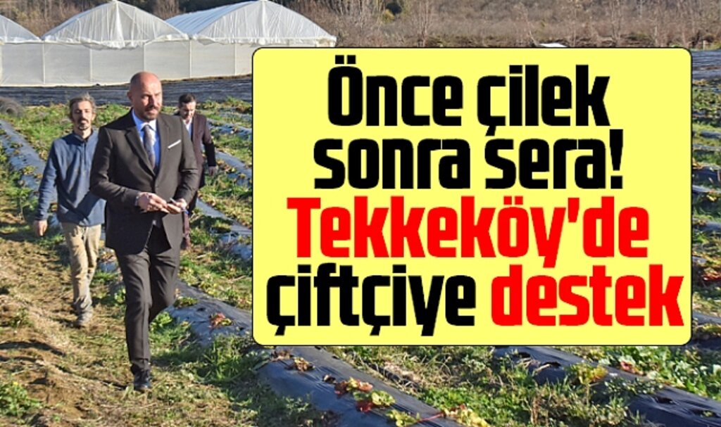Samsun'da Tekkeköy Belediyesi çiftçiye, bin metrekarelik sera yaptırdı