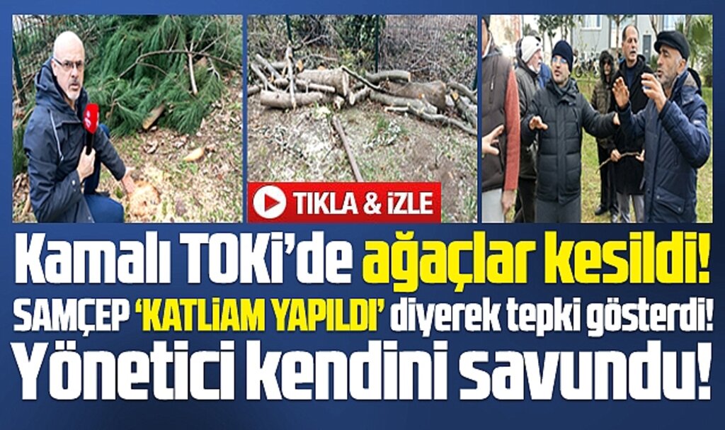 Samsun'da Kamalı TOKİ'de ağaçlar kesildi site sakinleri ayağa kalktı
