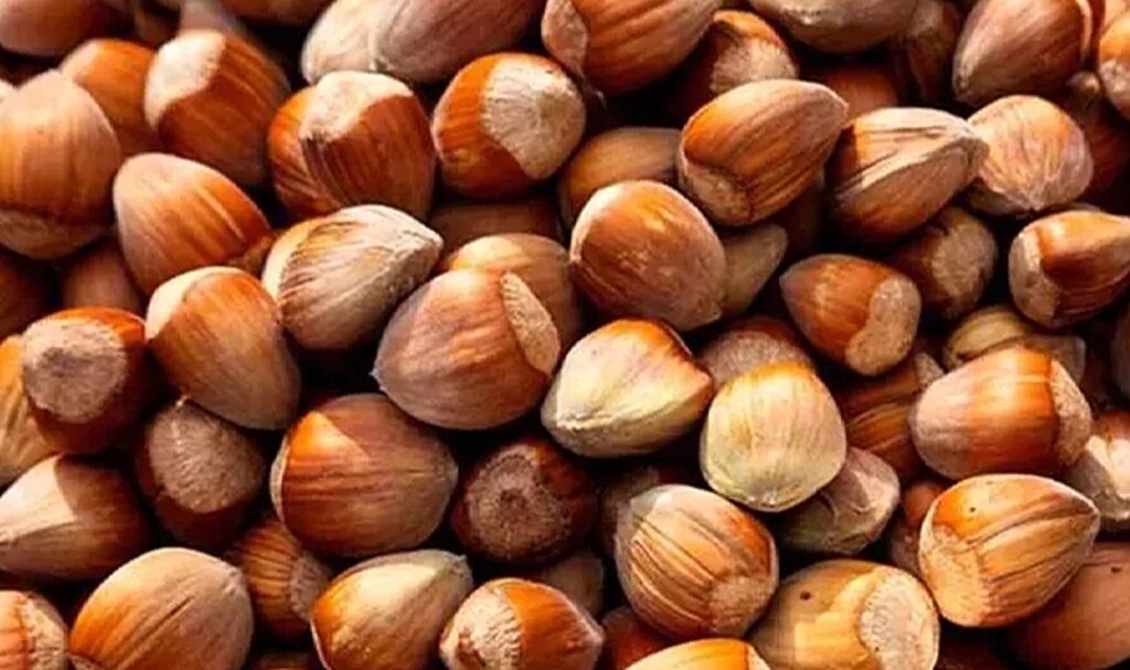 Fındık fiyatı serbest piyasada ne kadar? İl il 28 Ağustos Pazartesi fındık alım fiyatları