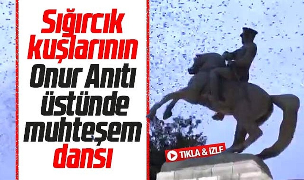 Samsun'da sığırcık kuşlarının Onur Anıtı üstünde büyüleyen dansı
