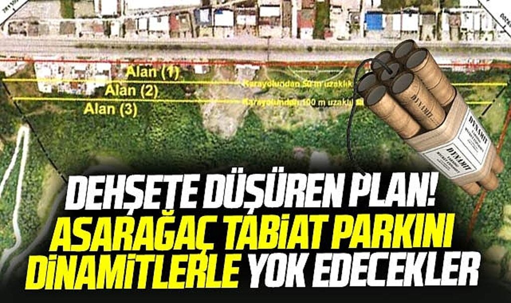 Samsun'da Asaraağaç Tabiat Parkı'nda dinamitler patlatılacak