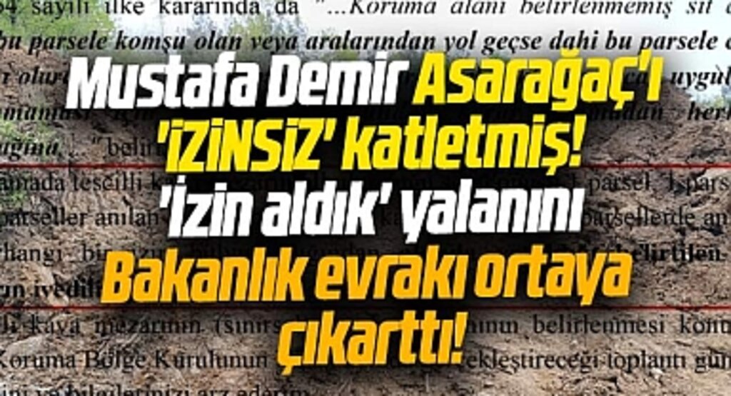 Samsun'da Asarağaç Tabiat Parkı izinsiz katledilmiş! Bakanlık evrakı yalanı ortaya çıkarttı
