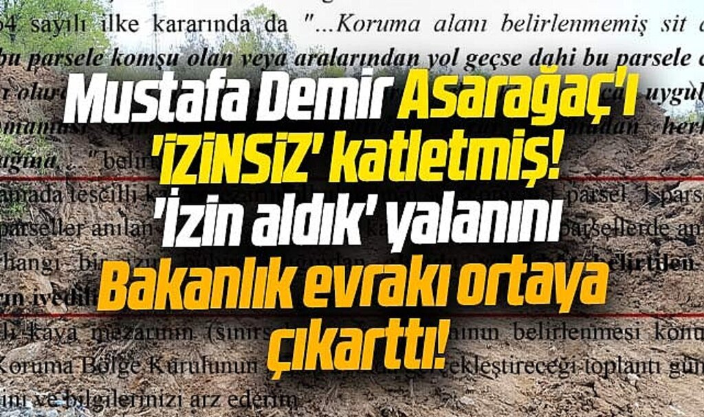 Samsun'da Asarağaç Tabiat Parkı izinsiz katledilmiş! Bakanlık evrakı yalanı ortaya çıkarttı