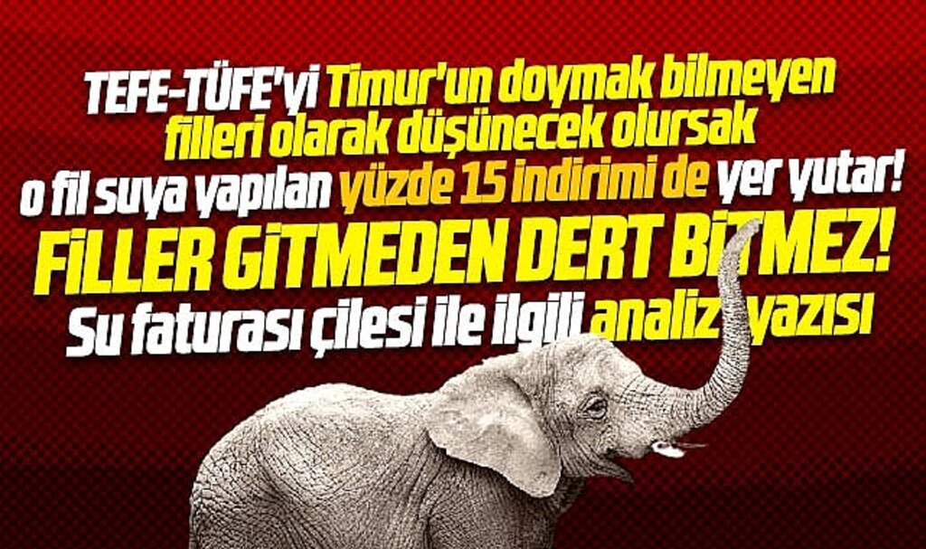 Samsunlunun su faturası çilesi TEFE-TÜFE ile ilgili analiz yazısı! Filler gitmeden dert bitmez