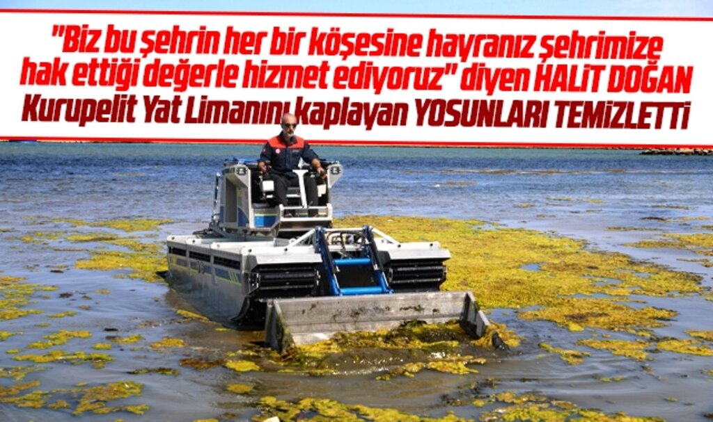 Samsun Büyükşehir Başkanı Doğan Kurupelit Yat Limanındaki yosunları temizlettiriyor