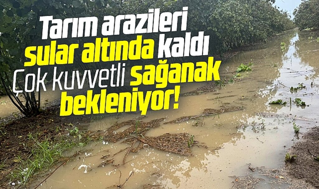 Samsun'da kuvvetli sağanak yağmur bekleniyor! Terme'de araziler sular altında kaldı