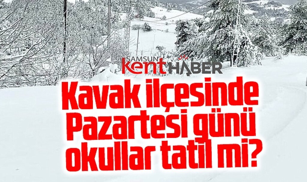 Samsun'un Kavak ilçesinde okullar 25 Kasım Pazartesi günü tatil mi?