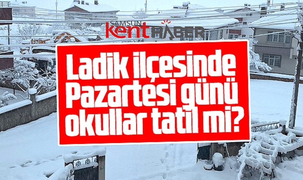 Samsun'un Ladik ilçesinde 25 Kasım Pazartesi günü okullar tatil mi?