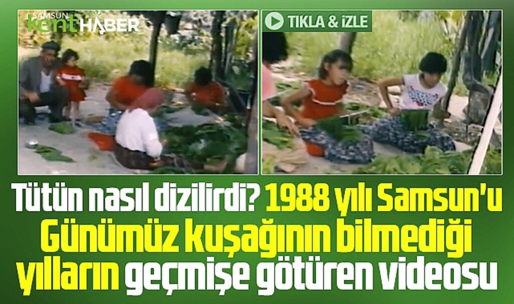 Samsun'da 1988 yılı tütün dizen kadınlar videosu geçmişe götürdü