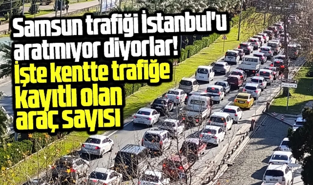 Samsun'da kaç otomobil, kaç motosiklet var? İşte Samsun'daki toplam araç sayısı