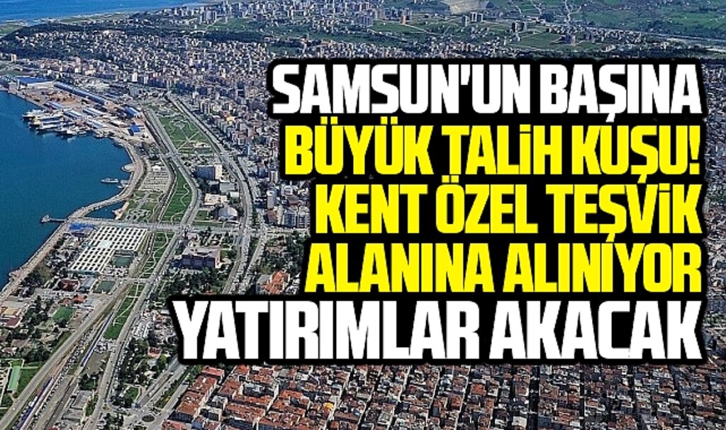 Samsun'a teşvik müjdesi! Samsun 5 farklı alanda teşvik alacak