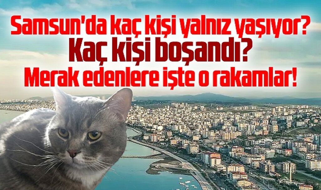 Samsun'da kaç kişi yalnız yaşıyor? Kaç kişi boşandı? İşte o rakamlar