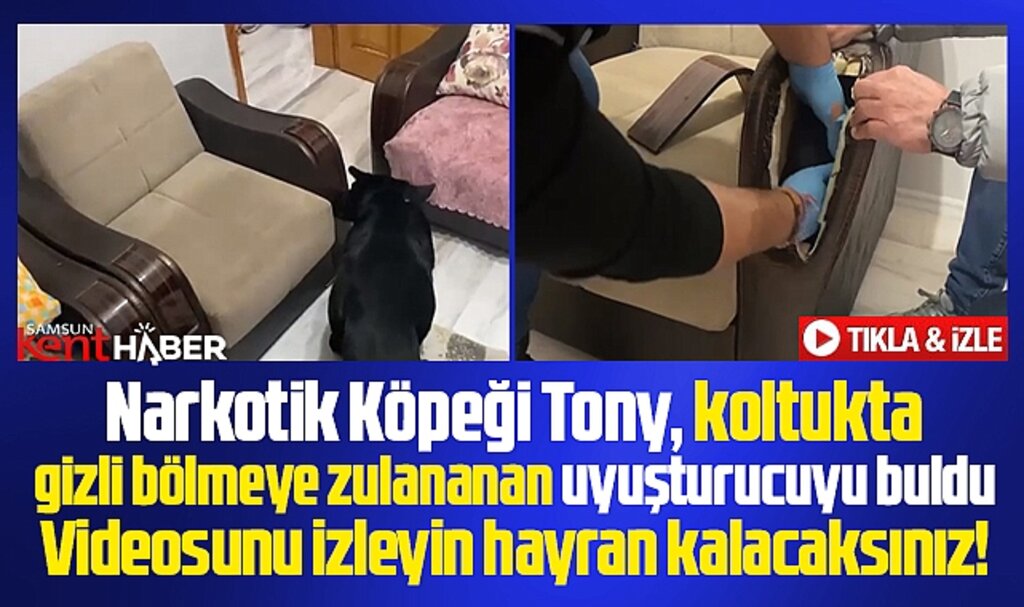 Samsun'da narkotik köpeği Tony koltukta zulananan uyuşturucuyu buldu