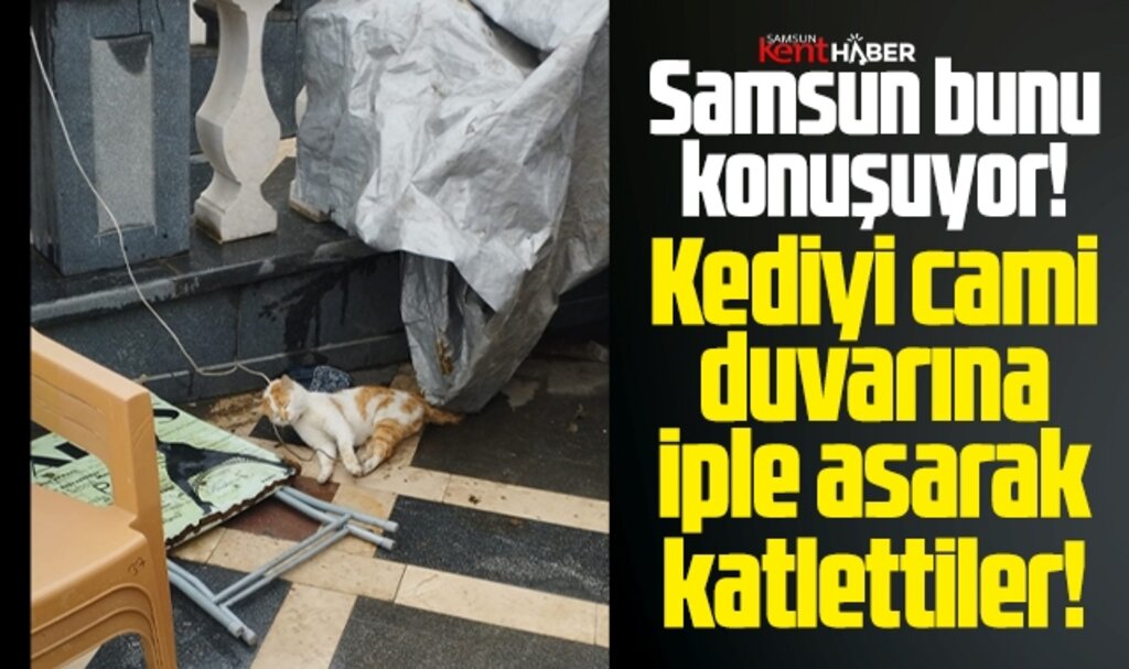 Samsun bu vahşeti konuşuyor! Kediyi iple cami duvarına asarak öldürdüler!
