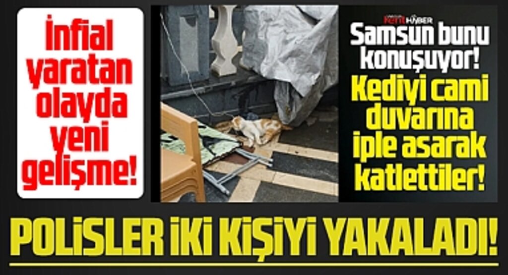 Samsun'da bir kedinin asılarak öldürülmesi olayında yeni gelişme! İki kişi yakalandı