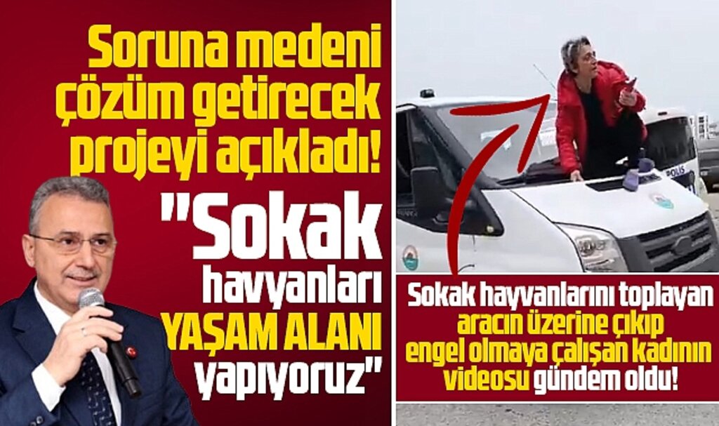 Samsun'da İlkadım ilçesinde sokak hayvanlarına yaşam alanı yapılacak