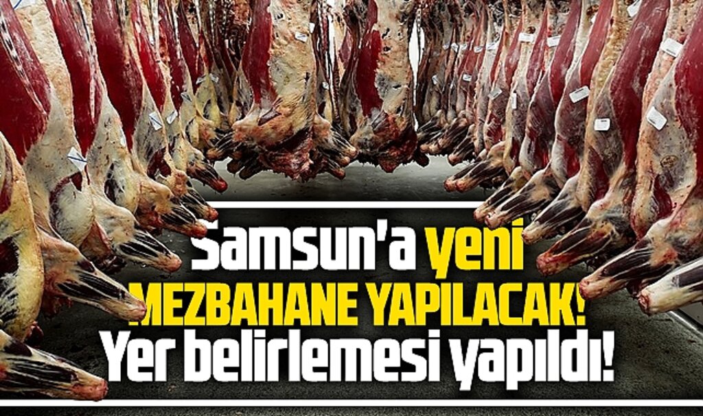 Samsun'a yeni mezbahane yapılacak! Yer belirlendi, proje hazır!