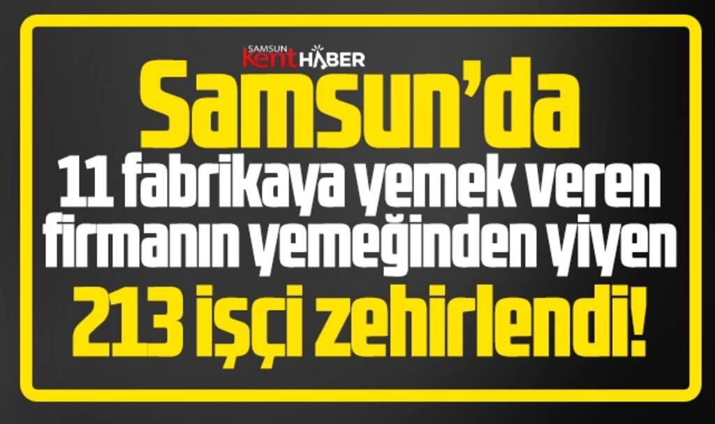 Samsun'da 11 fabrikada 213 işçi yemekten zehirlendi!
