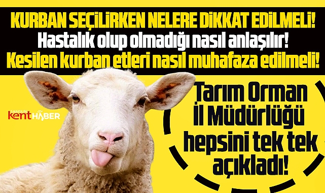 Samsun Tarım Orman Müdürlüğü kurban seçiminde dikkat edilmesi gerekenleri açıkladı