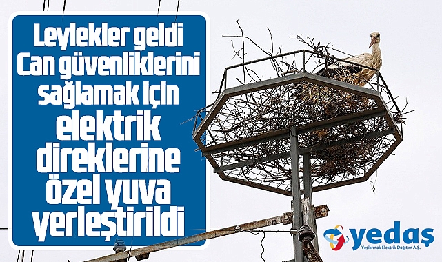 YEDAŞ leylekler için elektrik direklerine 34 adet özel yuva yerleştirdi