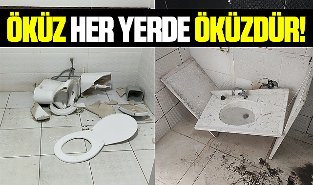 Samsun'da belediyenin yaptığı tuvaletleri kırıp döktüler! Öküz her yerde öküzdür!