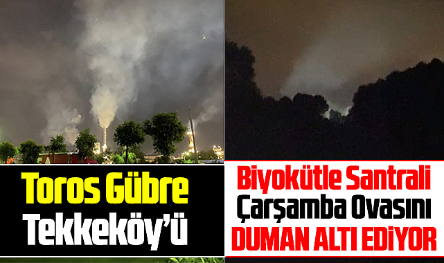 Samsun'da Toros Gübre ve Biyokütle Santrali şikayeti! Duman altı ediyorlar!