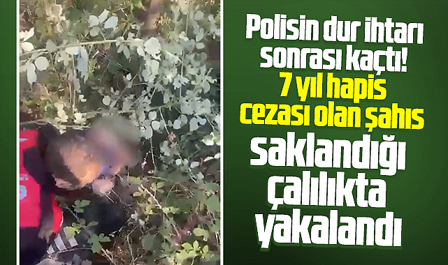 Samsun'da 7 yıl hapis cezası olan kişi saklandığı çalılıkta yakalandı